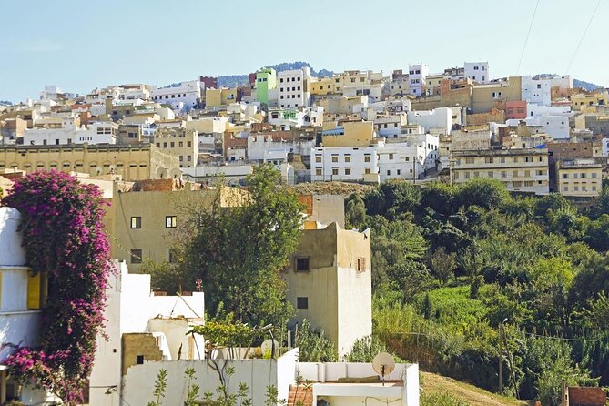 Small-Group Full-Day Meknes, Volubilis and Moulay Idriss Zerhoun Tour from Fez - Why this Fez day trip works