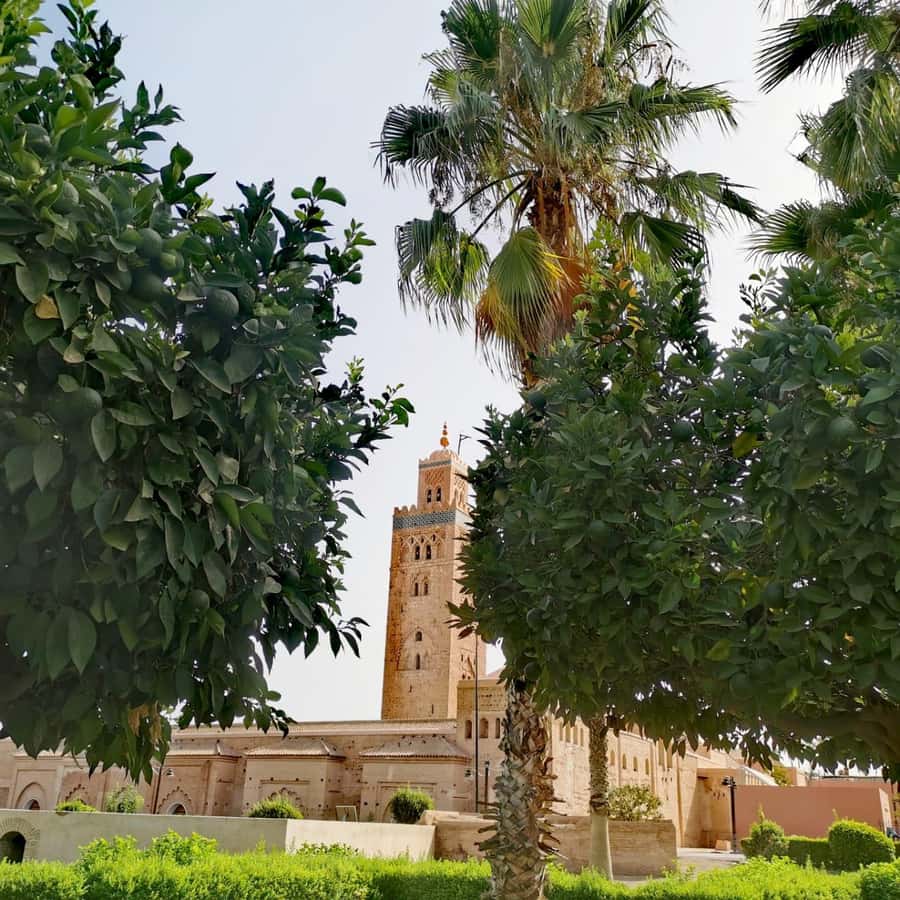Sparkling Marrakech through the eyes of your local Guide - Meeting at Argana in Jemaa el-Fnaa