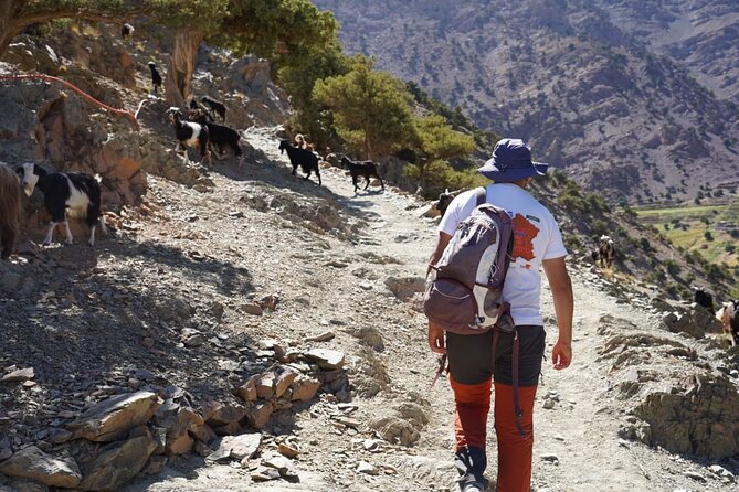 Summiting and Hiking the Atlas Mountains Day Trek from Marrakech - Returning by way of the Tidli Plateau
