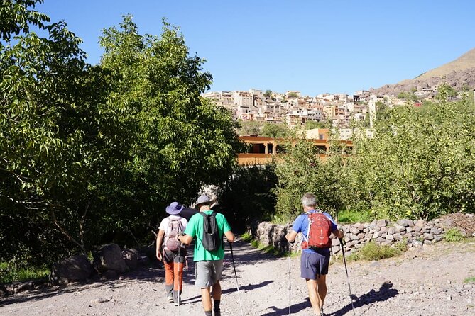 Summiting and Hiking the Atlas Mountains Day Trek from Marrakech - What the $116.31 price covers