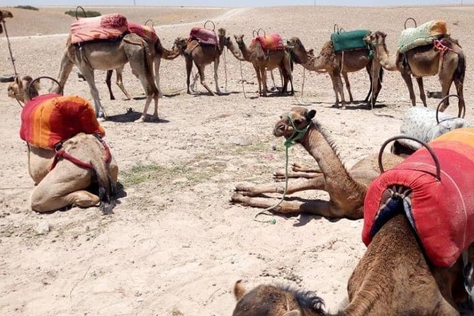 Sunset camel ride Agafay desert Marrakech - Reaching Agafay from Marrakech at 4 pm