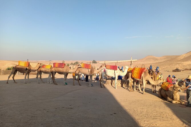 Sunset camel ride Agafay desert Marrakech - Who should book this Agafay camel ride