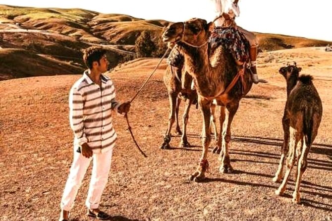 Sunset & Camel Ride & Dinner in Desert Agafay Marrakech - The camel ride and sunset timing