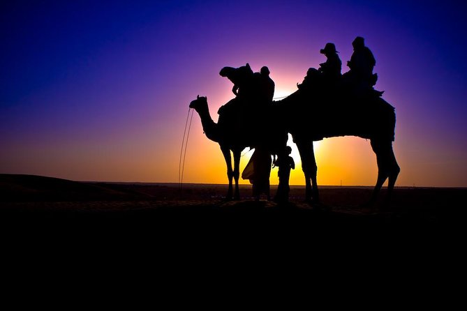 Sunset Camel Ride in Agadir or Taghazout With Transfers - Choosing your camel and getting comfortable