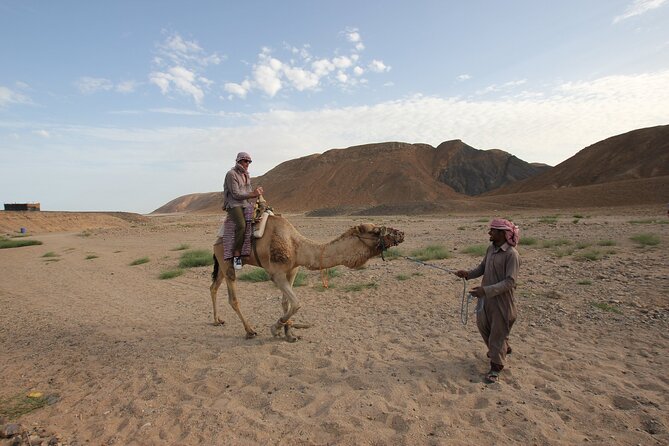 Sunset Camel Ride in Agadir or Taghazout With Transfers - Mint tea, biscuits, and the return to your hotel