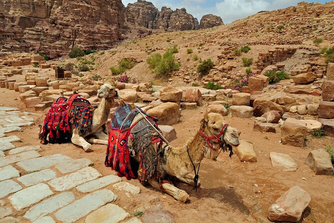 Sunset Camel Ride in Agadir or Taghazout With Transfers - Photos and the best seats for memories