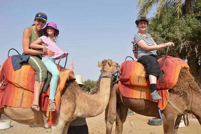 Sunset Camel Ride in Agadir or Taghazout With Transfers - Along the eucalyptus trees toward the Souss River