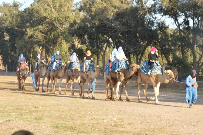 Sunset camel ride in Agadir with transport, tea and cakes. - What this Agadir camel ride is really like