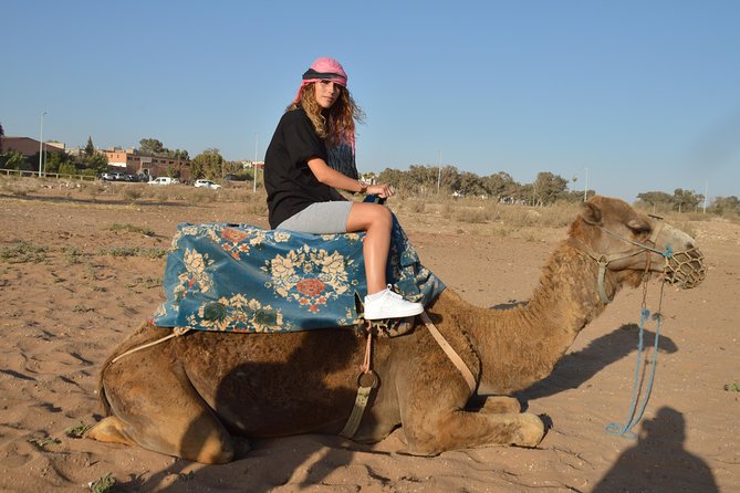 Sunset camel ride in Agadir with transport, tea and cakes. - Leaving Agadir through Aghroud Bensergao