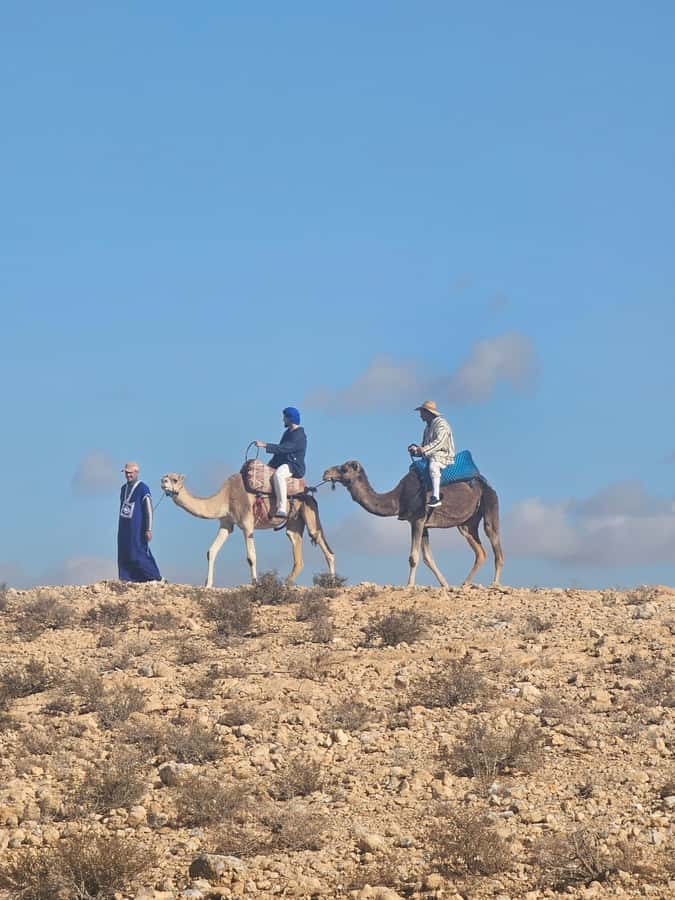Sunset Camel Ride in Agafay Desert with dinner and pool - Transport, timing, and what the four hours really mean