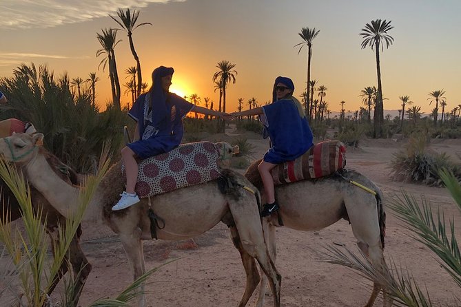 Sunset Camel Ride in the Palm Grove of Marrakech - Hotel pickup keeps the evening simple