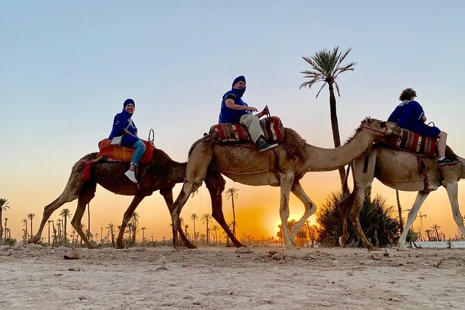 Sunset Camel Ride in the Palm Grove of Marrakech - Touareg clothing adds fun to the photos