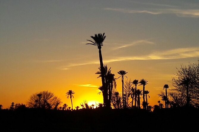 Sunset Camel Ride in the Palm Grove of Marrakech - Practical details before you reserve