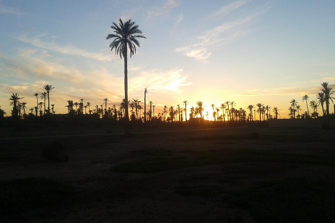 Sunset Camel Ride Marrakech with Transfers - Key points to know before booking