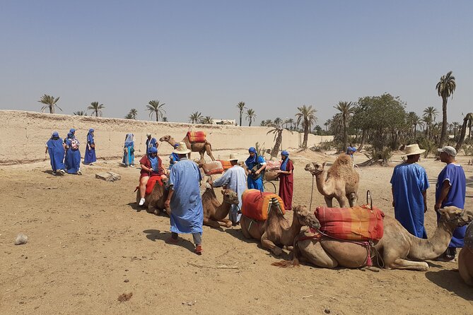 Sunset Camel Ride Marrakech with Transfers - What the $23.23 price really covers