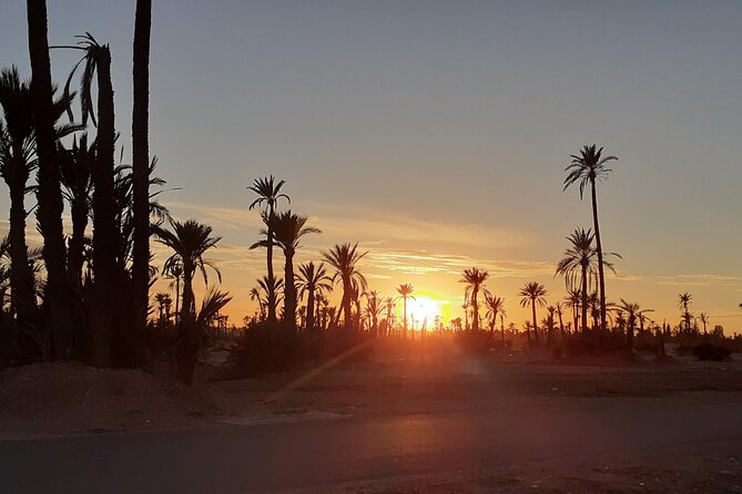 Sunset Camel Ride Marrakech with Transfers - Who will enjoy this outing most