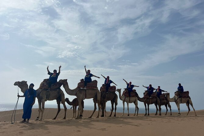 Sunset Camel Ride tour with Barbecue dinner in the beach - Key points at a glance