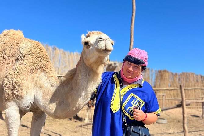 Sunset Camel Ride tour with Barbecue dinner in the beach - Returning to the ranch for Moroccan dinner