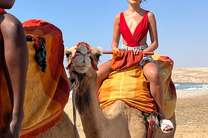 Sunset Camel Ride tour with Barbecue dinner in the beach - Is $69.69 a fair price?