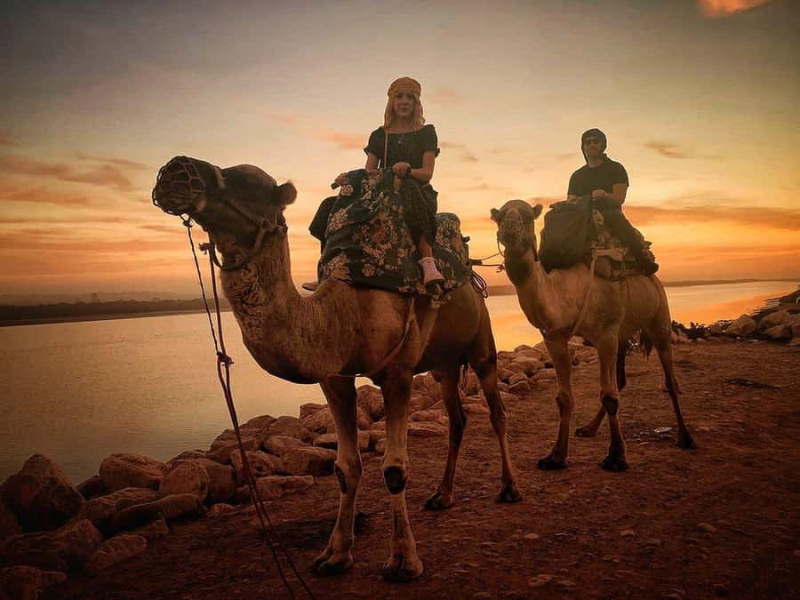 Sunset Camel Riding Including BBQ Dinner & Hotel Transfers - What You Actually See Along the River