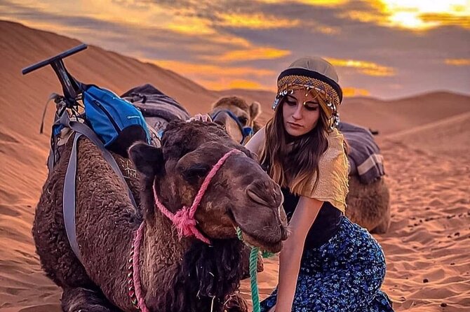 Sunset views with dinner show and came ride tour - From Marrakech streets to Agafay’s bare hills