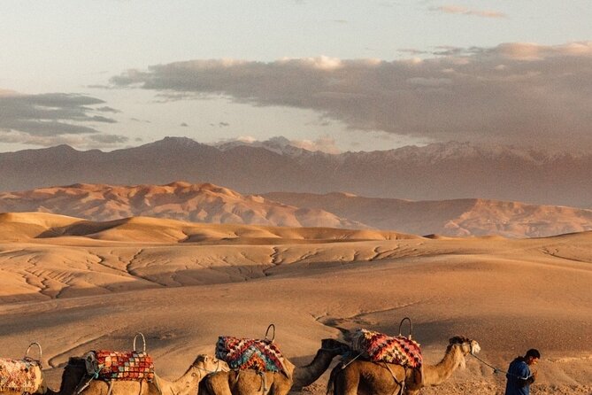 Sunset views with dinner show and came ride tour - Who will enjoy this six-hour outing?