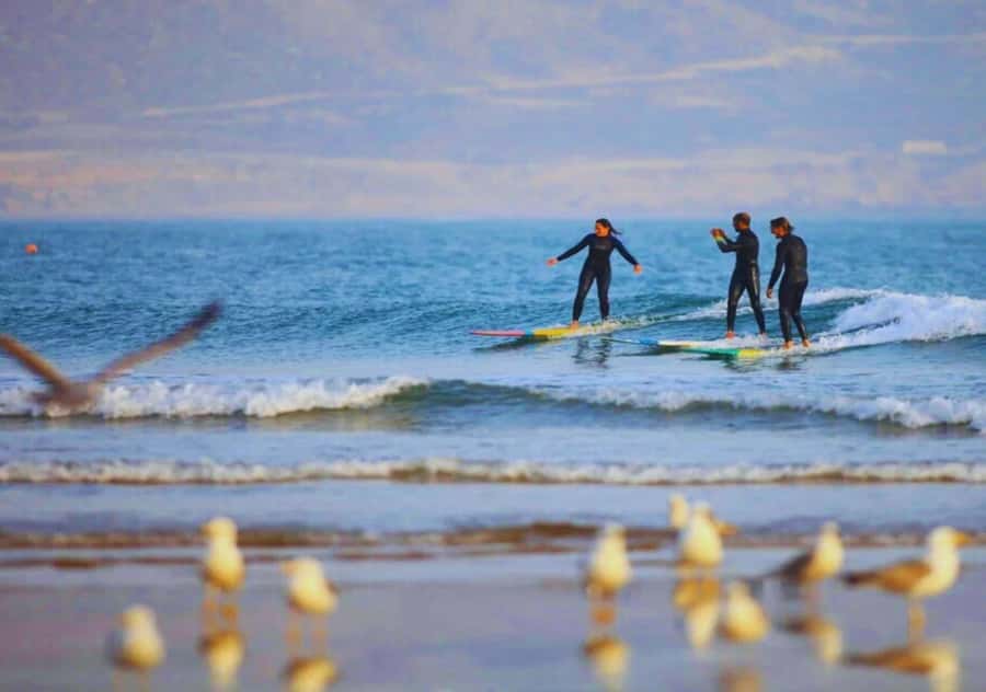 Surf Training and Lunch on Essaouira Day Trip from Marrakech - Who should book this day trip