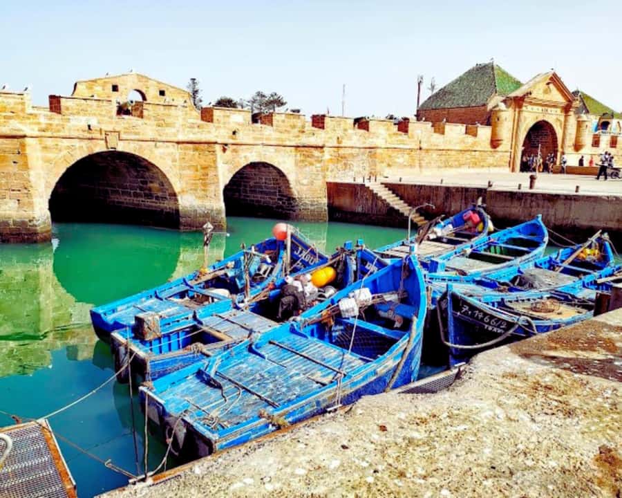 Surf Training and Lunch on Essaouira Day Trip from Marrakech - How the timing works in real life