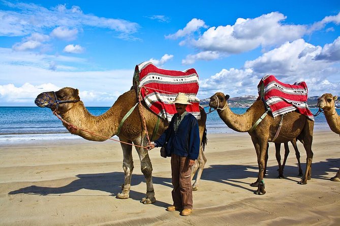 Tangier 3 Hours Sightseeing & Camel ride - What this Tangier coastal tour actually covers