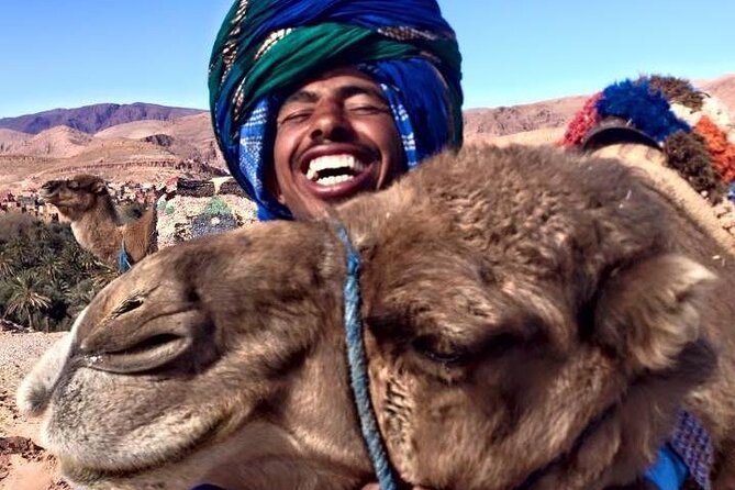 Tangier 3 Hours Sightseeing & Camel ride - Perdicaris Park: a quick green pause