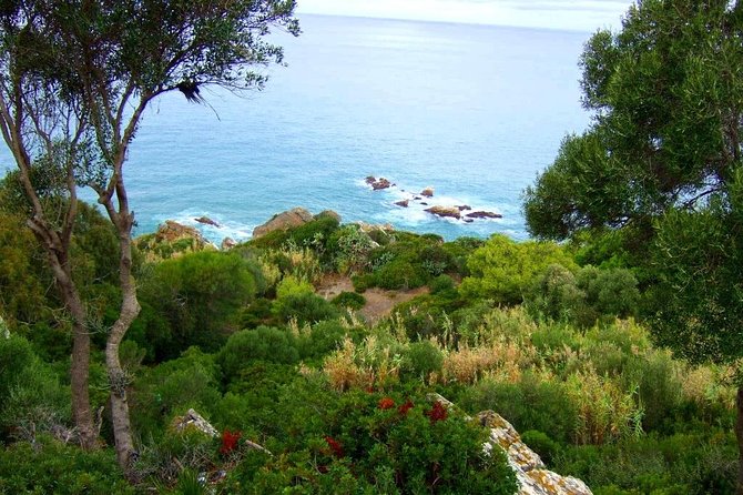 Tangier 3 Hours Sightseeing & Camel ride - Is $40.71 a fair price?