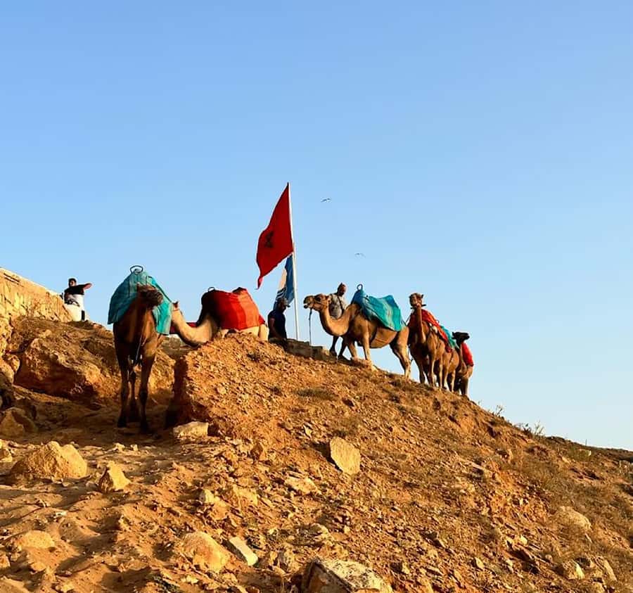Tangier: Achakar Beach Sunset Camel Ride & Moroccan Dinner - Key points before you book