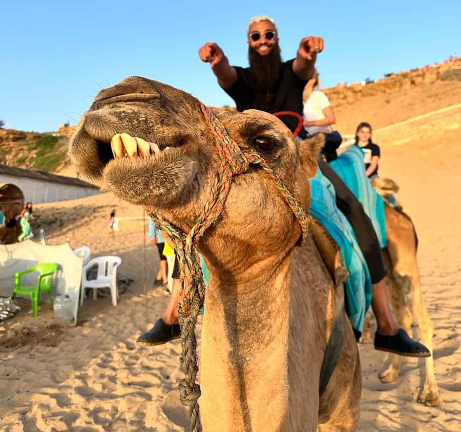 Tangier: Achakar Beach Sunset Camel Ride & Moroccan Dinner - Achakar Beach and the 30-minute camel ride