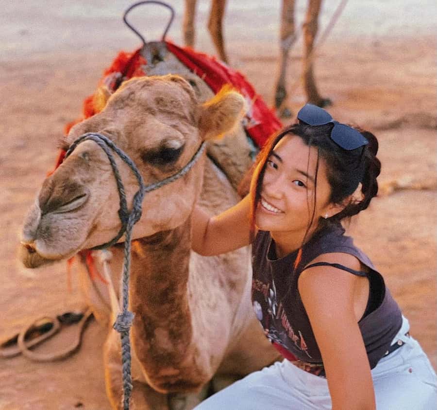 Tangier: Achakar Beach Sunset Camel Ride & Moroccan Dinner - From the Medina to Tangier’s polished west side