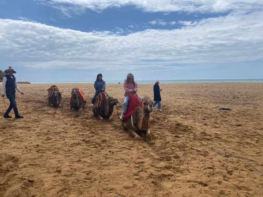 Tangier: Cap Spartel, Hercules Caves & Camel Riding - Who should book this Tangier excursion?