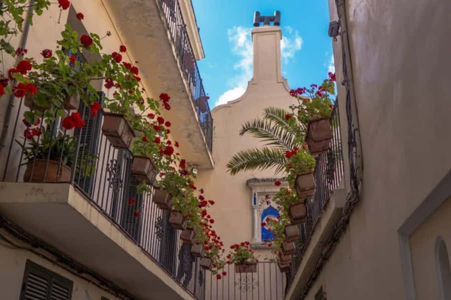Tangier Half-Day Guided City Tour - The American Legation Museum