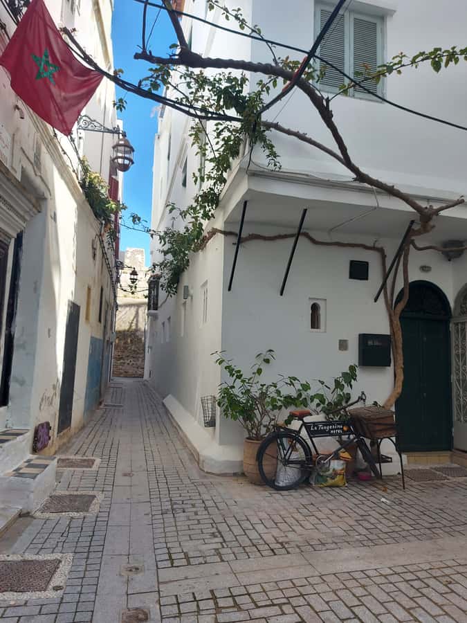Tangier Highlights Private 6-Hour Tour - What the private format is worth