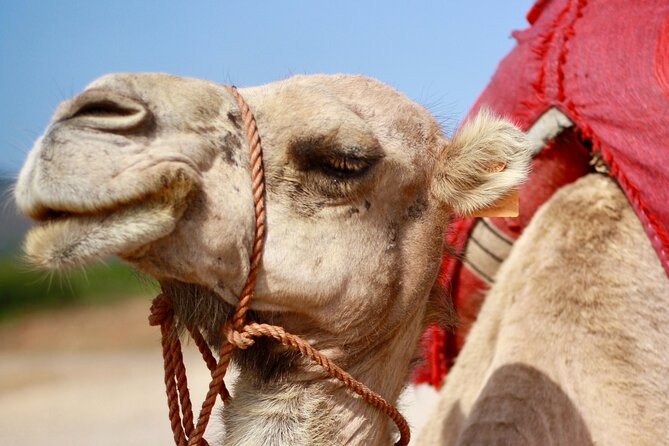 Tangier Private Customized Tours - Why this Tangier route works so well
