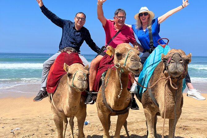 Tangier private half day tour Deluxe Including camel ride & Lunch - The American Legation Museum for a final historical note