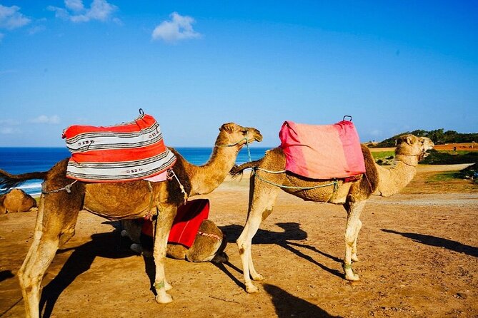 Tangier’s sightseeing Daytour - The Kasbah Museum in a 17th-century setting