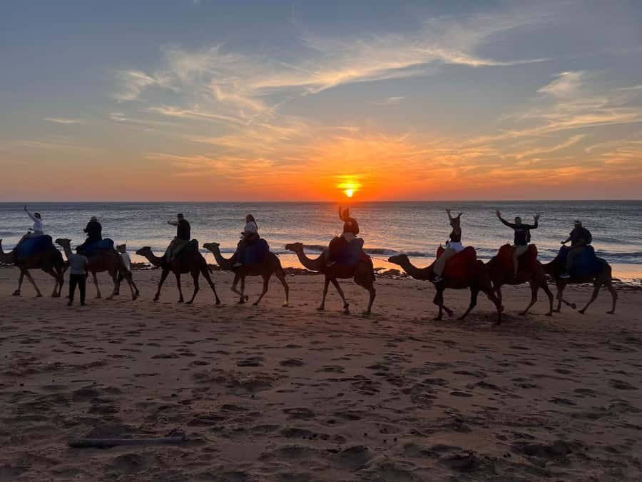 Tangier: Sunset, Tea, Sweets, Camel Ride, and Hercules Caves - How the guide shapes the experience
