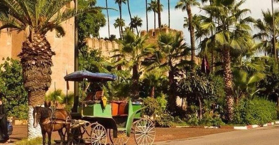Taroudant and Tiout Oasis Trip With Lunch - Key points at a glance