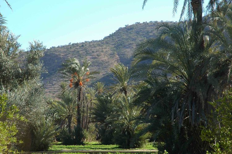 Taroudant and Tiout Oasis Trip With Lunch - The road from Taroudant to Tiout