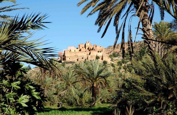 Taroudant and Tiout Oasis Trip With Lunch - FAQ