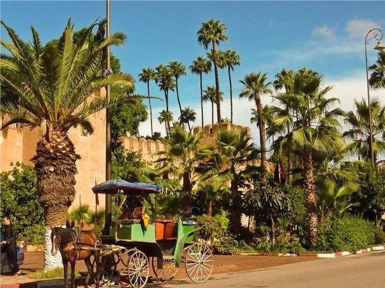 Taroudant and Tiout Oasis Trip With Lunch - Silver jewelry, carpets, and the art of saying no