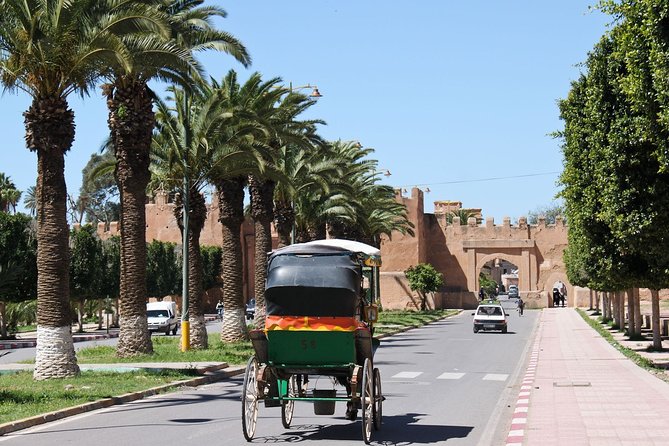 Taroudant + Tiout excursion 1 day with homestay lunch from agadir - Guides, language, and the human factor