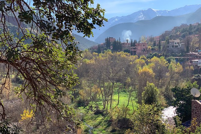 The Atlas Mountains and 5 Valleys Day Trip from Marrakech with Berber Lunch - Ait Fares and lunch in a Berber family home