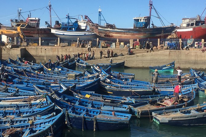 The Charms of Essaouira Mogador and the Argan tree Forests - Key points to know before booking