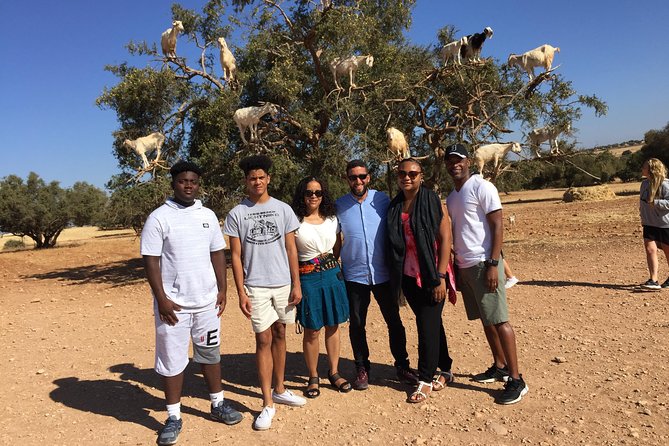 The Charms of Essaouira Mogador and the Argan tree Forests - Why Essaouira makes the long ride worthwhile