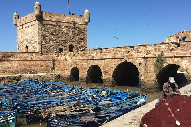 The Charms of Essaouira Mogador and the Argan tree Forests - Four hours inside the medina